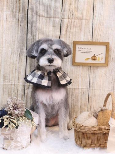 20241023ルークくん